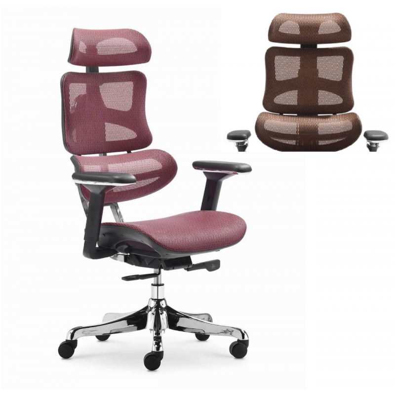 Ghế Làm Việc Công Thái Học - Ergonomics Ngả Lưng Thư Giãn AMA-CM-B137A