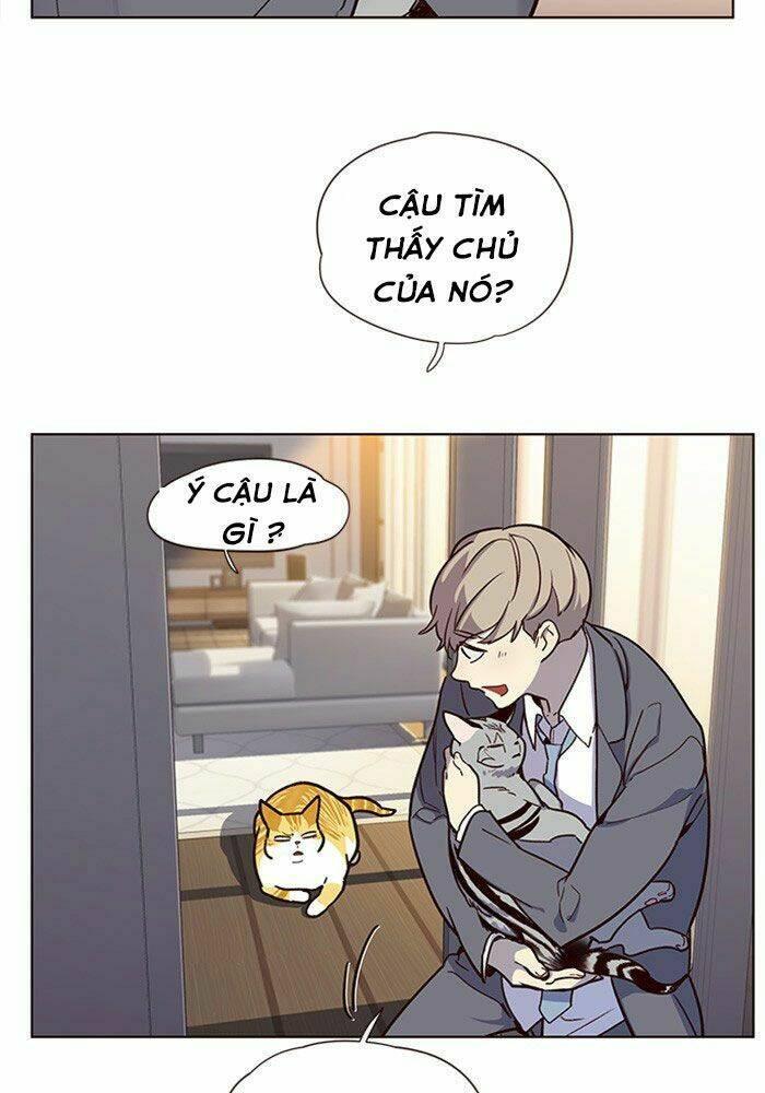 biến thân thành mèo chapter 11 80