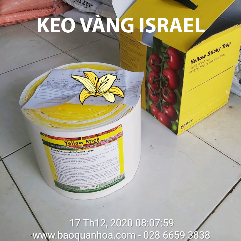 Cuộn Keo Dính Vàng Bẫy Côn Trùng Nhập khẩu Israel dùng bẫy ruồi đục trái, bẫy bọ trĩ, bọ phấn, sâu vẽ bùa và bẫy các côn trùng khác