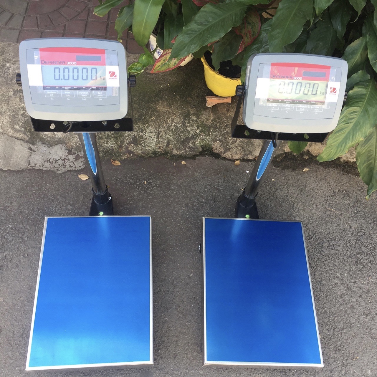 Cân Bàn Điện Tử T31P OHAUS 60 KG