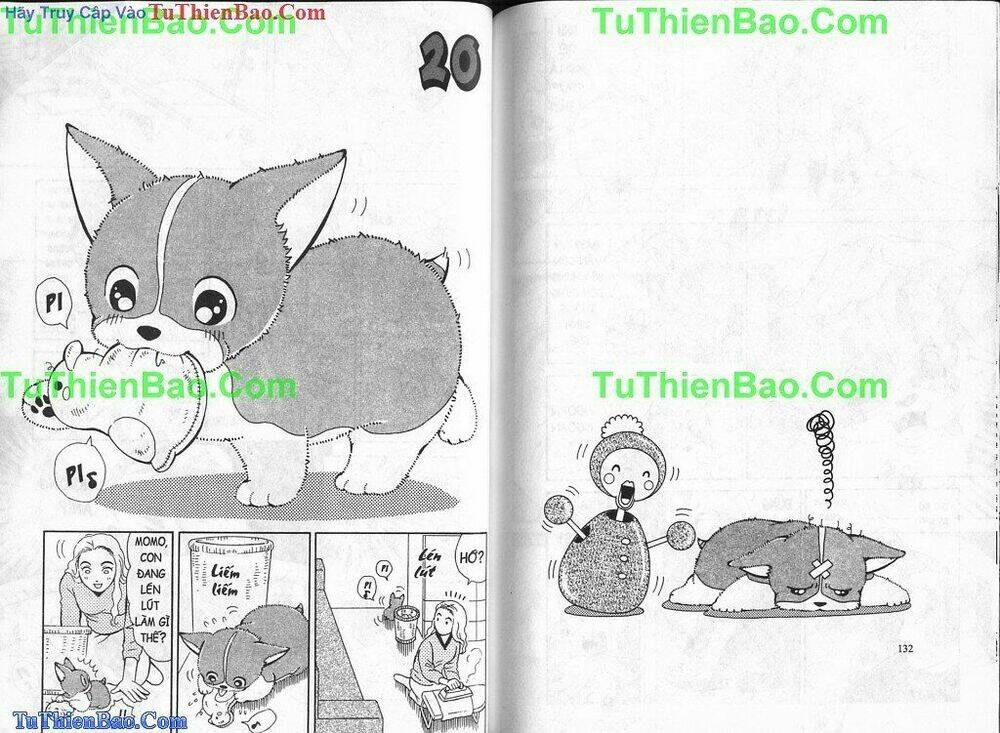 chó con mo mo chapter 2 67