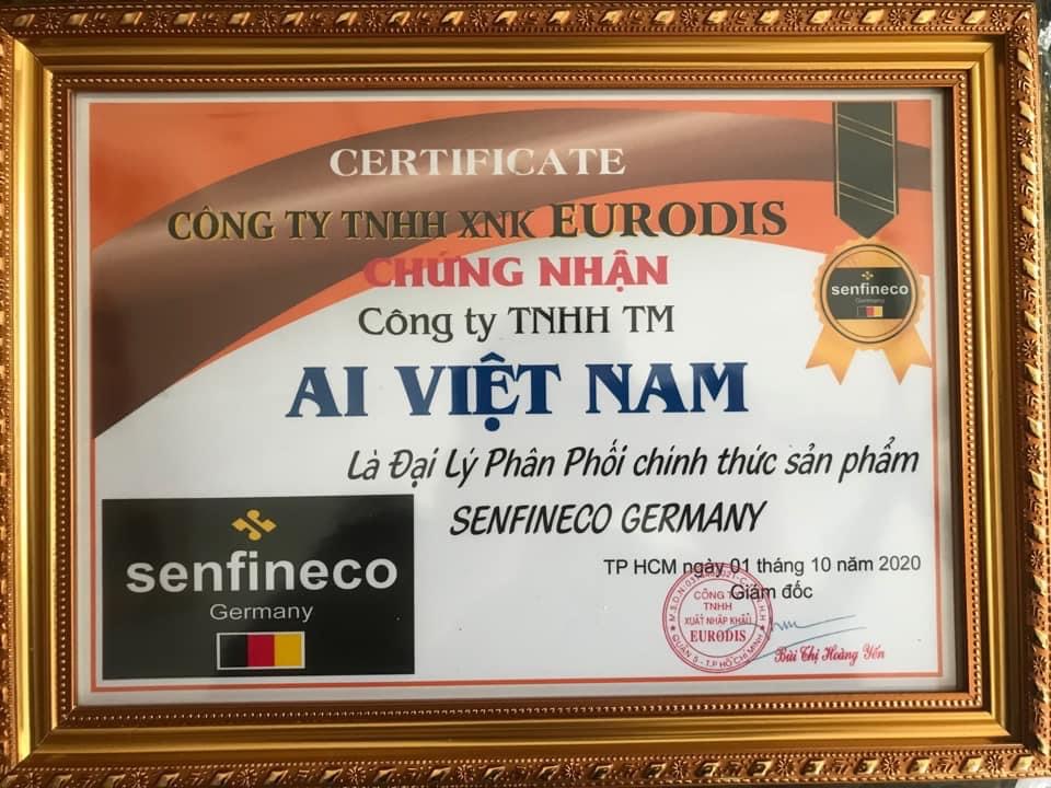 Vệ sinh kim phun buồng đốt cao cấp cho máy xăng SENFINECO 9997