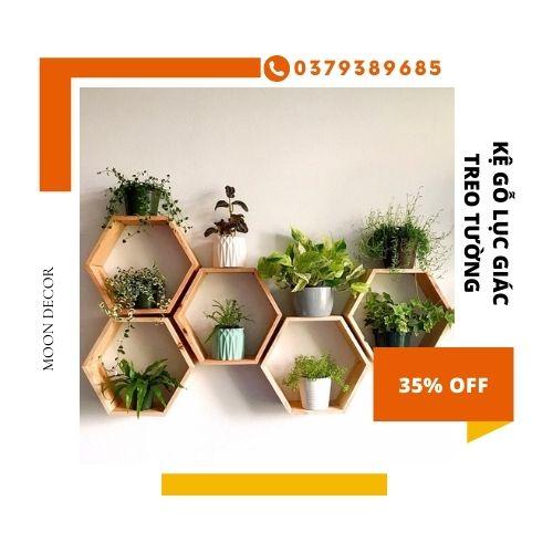 Set 5 kệ lục giác trang trí treo tường kệ đựng đồ lưu niệm cây cảnh mini giá sách gỗ thông tự nhiên sơn PU