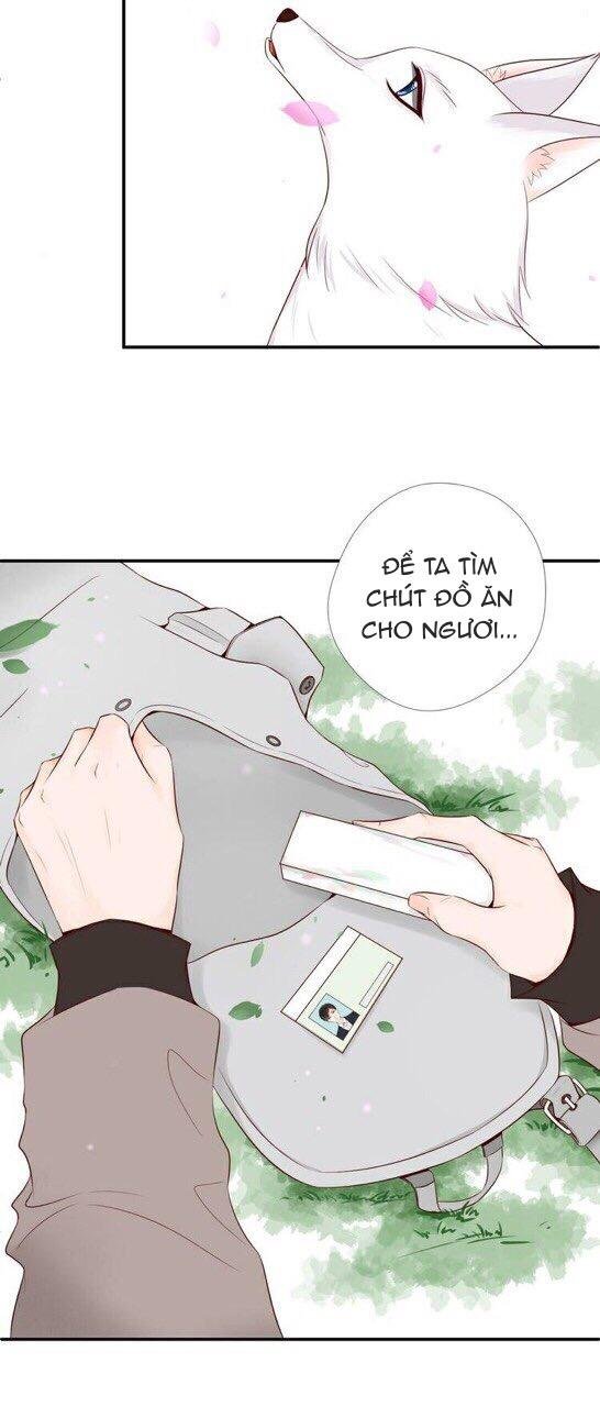 nỗi nhớ ngàn năm chapter 6 4