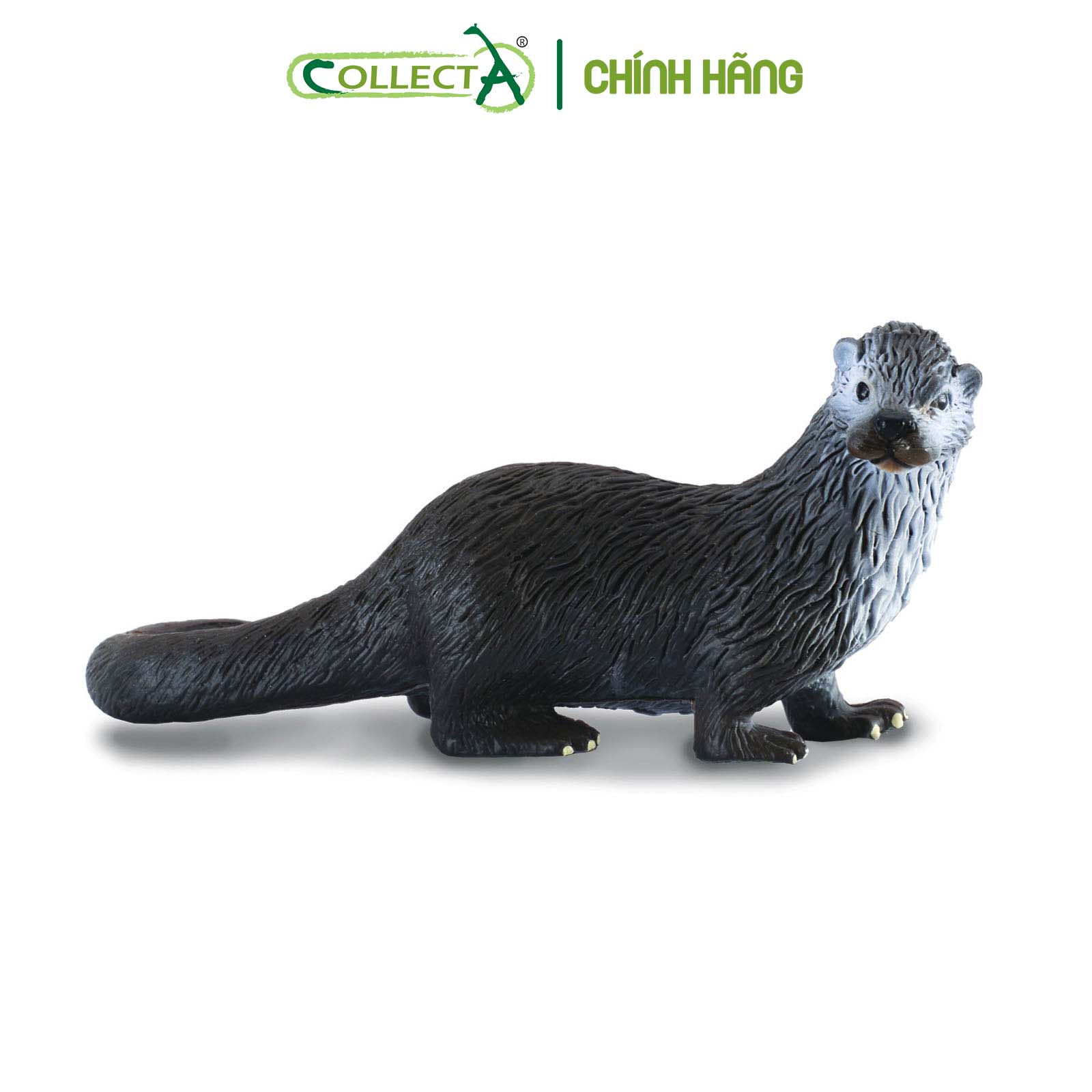 Mô hình thu nhỏ: Rái Cá - Common Otter, hiệu: CollectA, mã HS 9651370[88053] -  Chất liệu an toàn cho trẻ - Hàng chính hãng