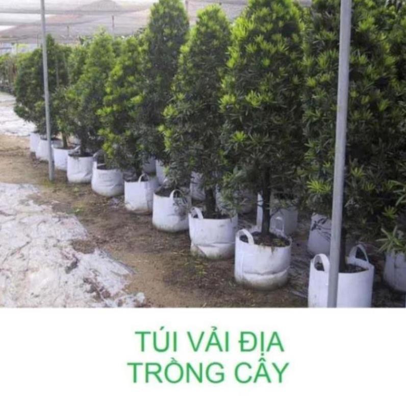 20 Túi Vải Trồng Cây 2 Quai Xách Kích Thước 60X45CM