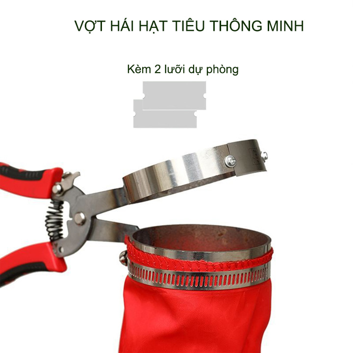 Dụng cụ hái quả tiêu thông minh tiện dụng kèm 2 lưỡi dự phòng