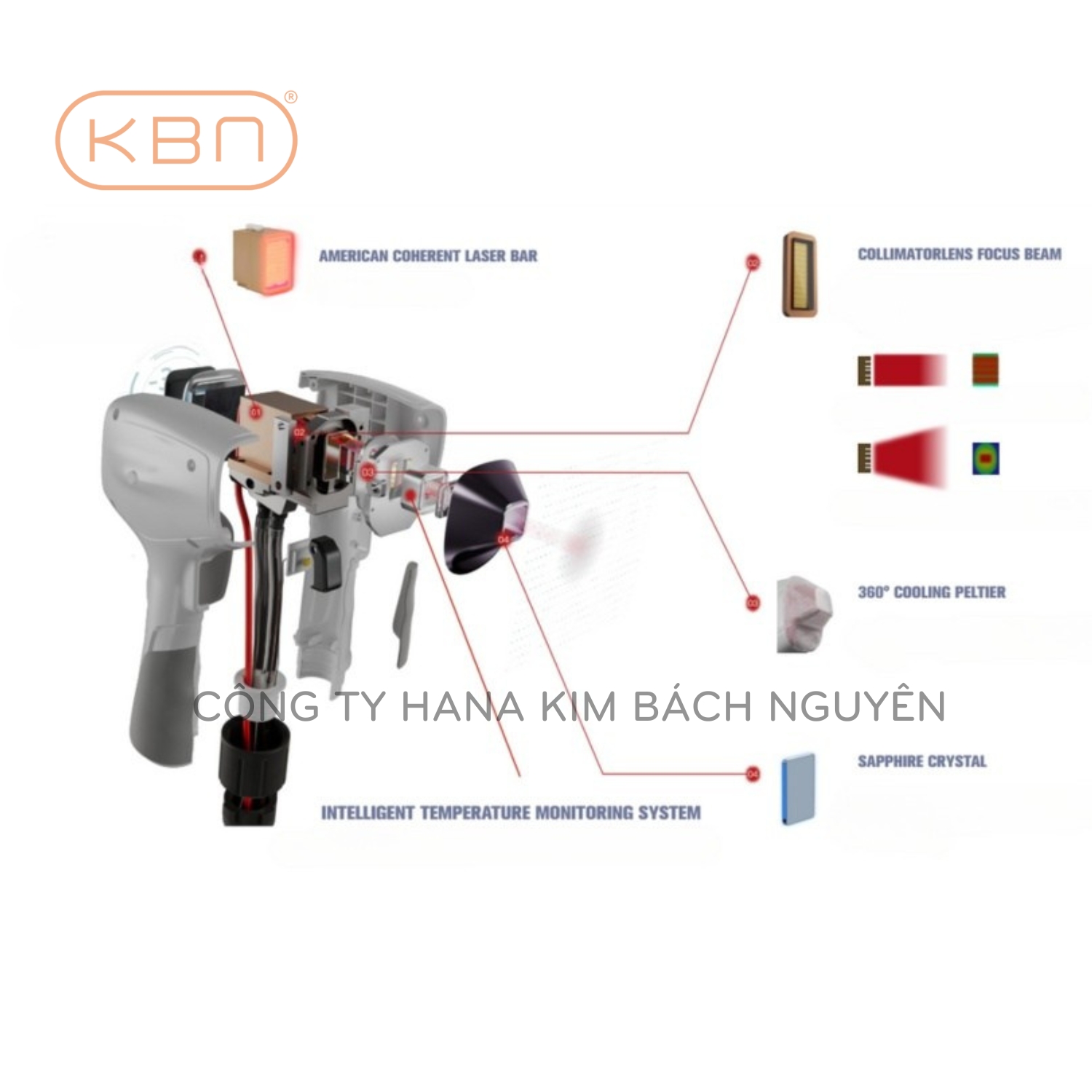 Máy triệt lông Diode Laser VL7 Toàn Thân Cho Spa