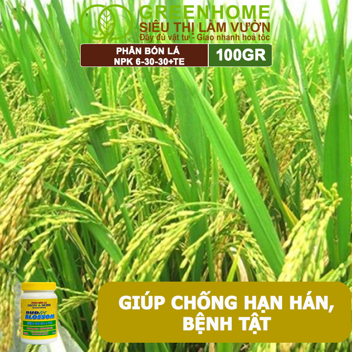 Phân Bón Lá Grow More NPK 6-30-30, GreenHome, Chai 100GR, Kích Ra Hoa, Tăng Đậu Quả