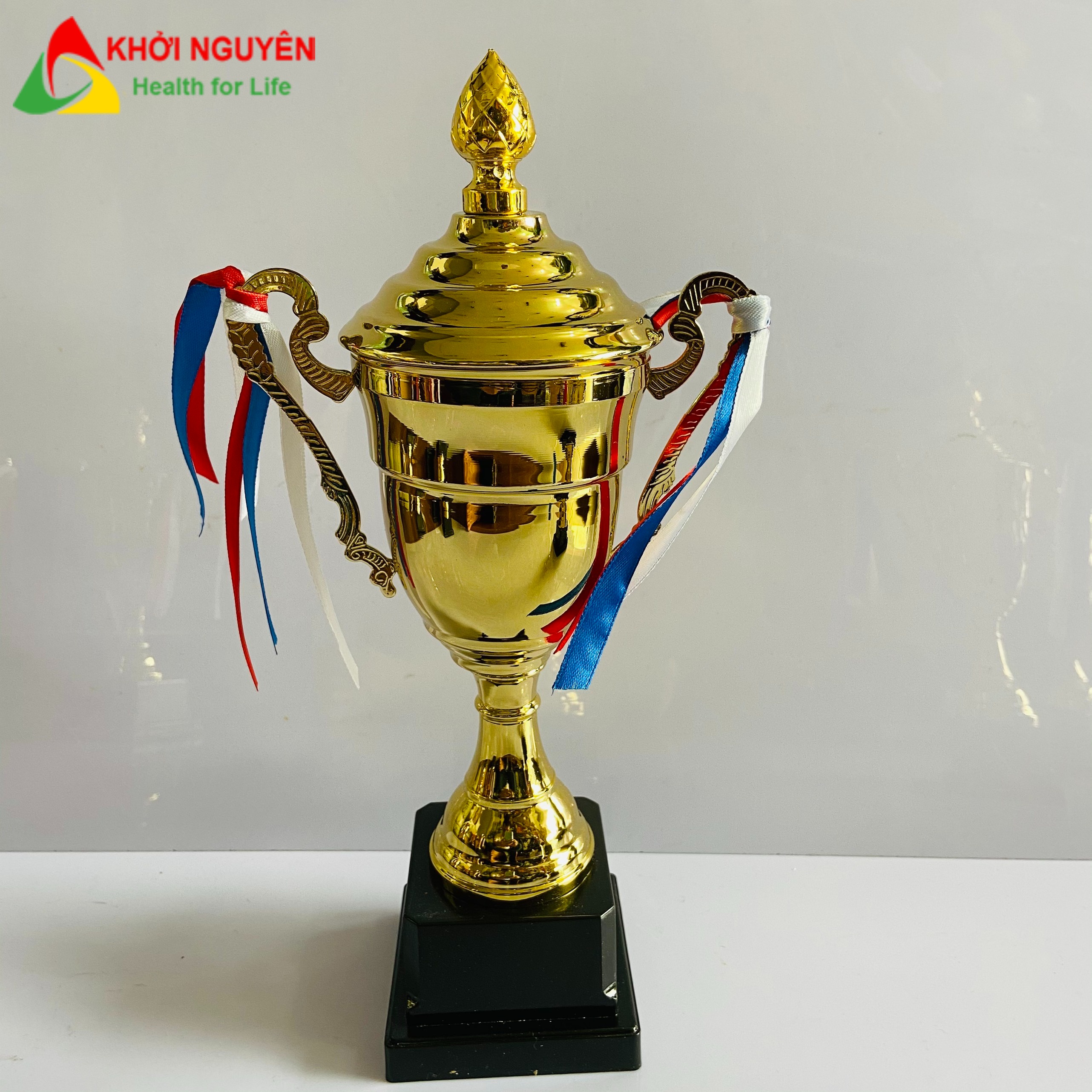 Cup kim loại 162bc, Size 29-32 cm, Vinh danh các nhân, tập thể xuất sắc