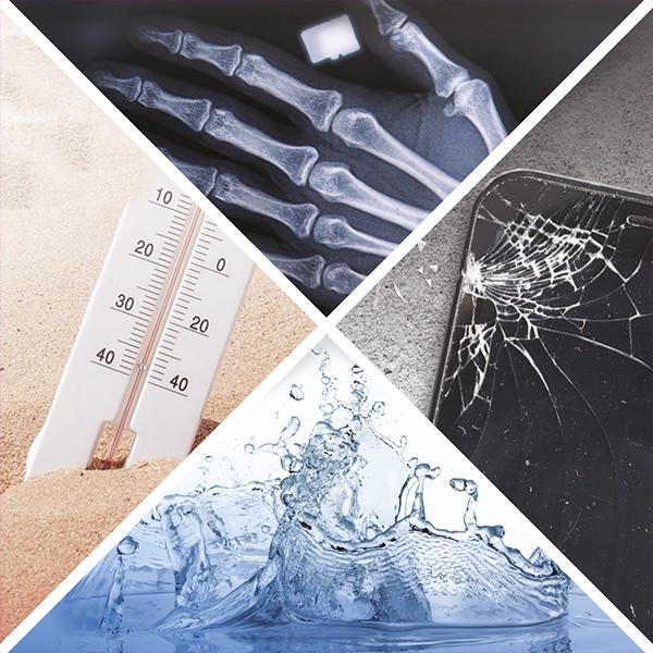 36e1988b5c8878a091265961ce1c6681.jpg?v=1577174200351