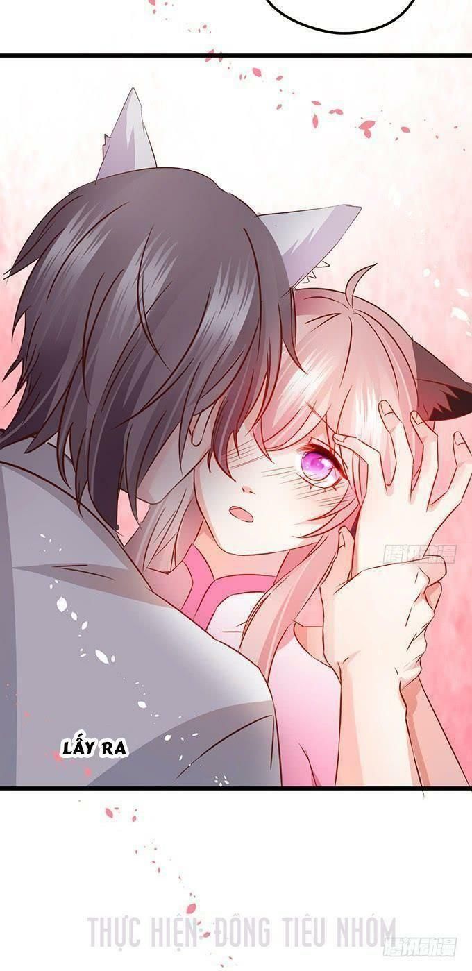 hồ tiên hung bạo chapter 21 42