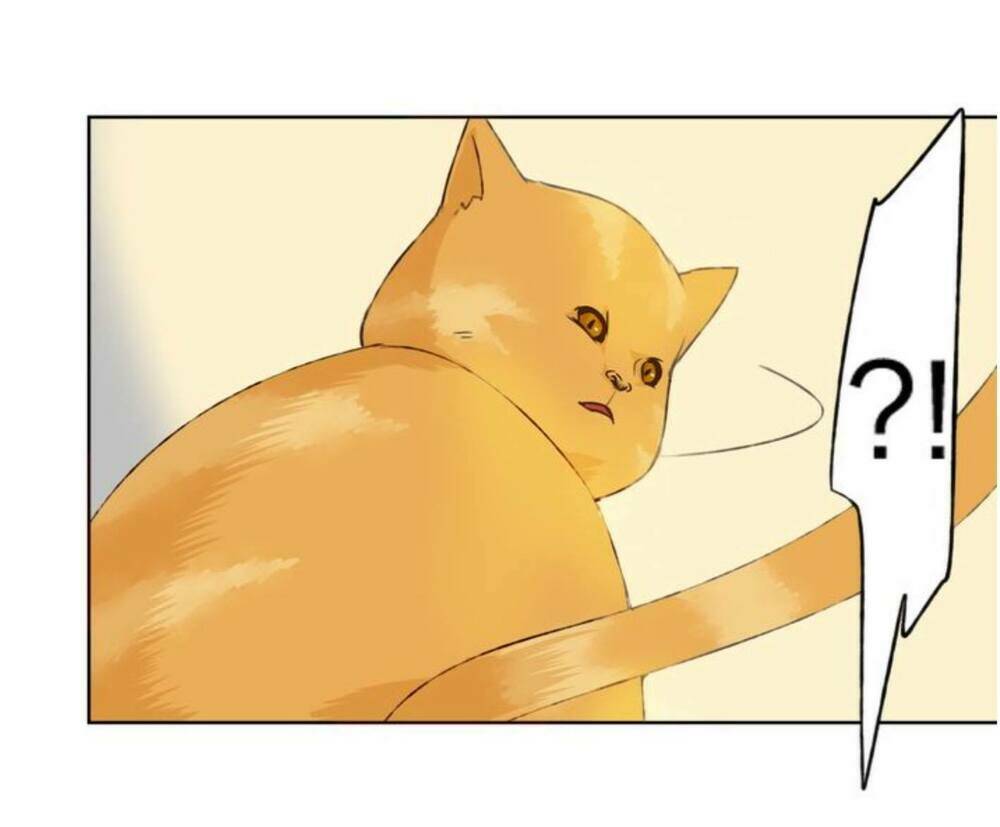 tôi không phải đa nhân cách chapter 11 73