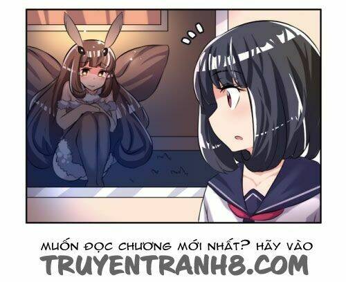 internet explorer chapter 23.5 13