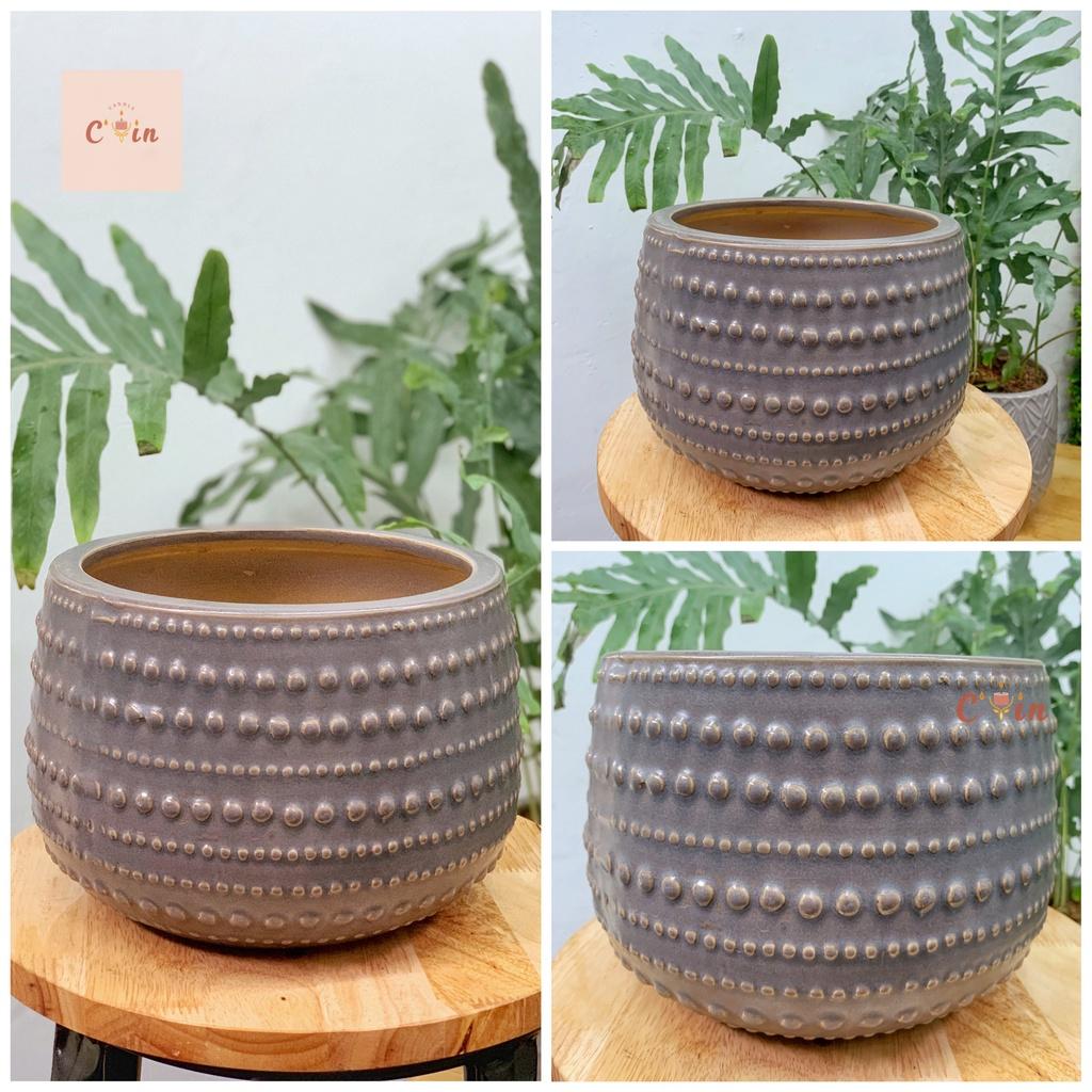 CHẬU CÂY Gabi, Alatic, gáo dừa các size - Chậu hoa Trồng cây Decor Trang Trí - Gốm Xuất Khẩu