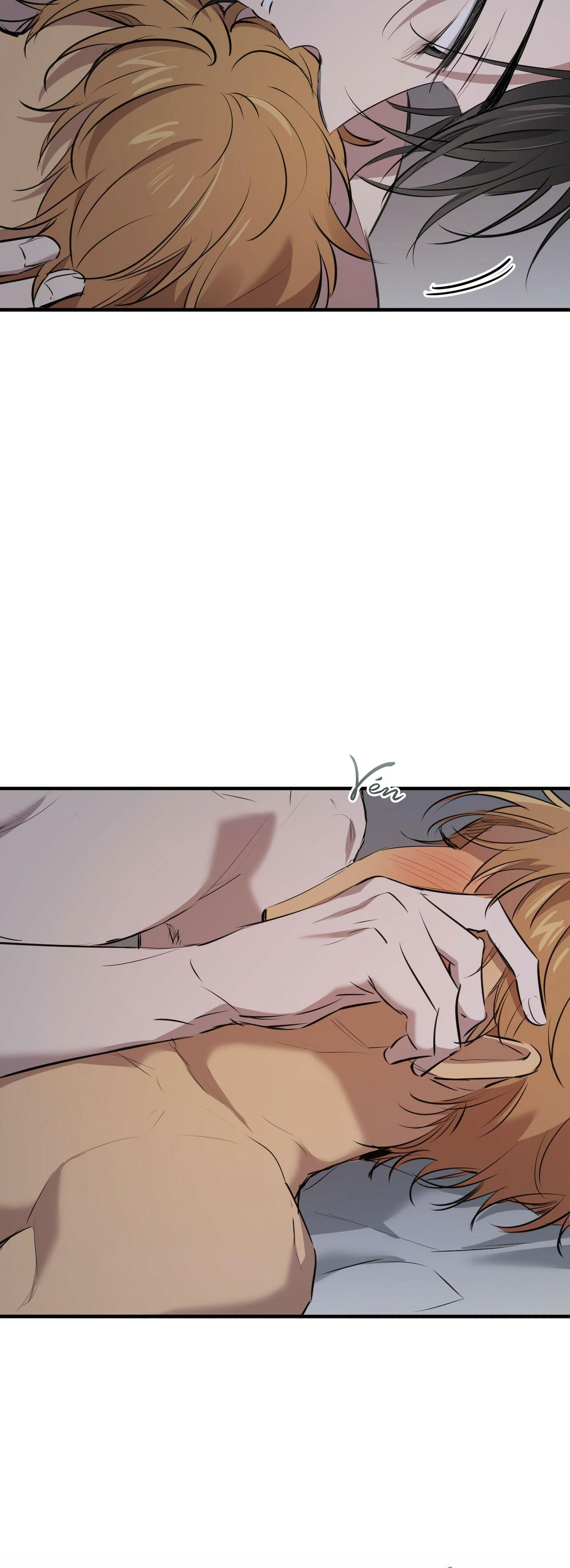 những chú thỏ của hapypy chapter 40 35