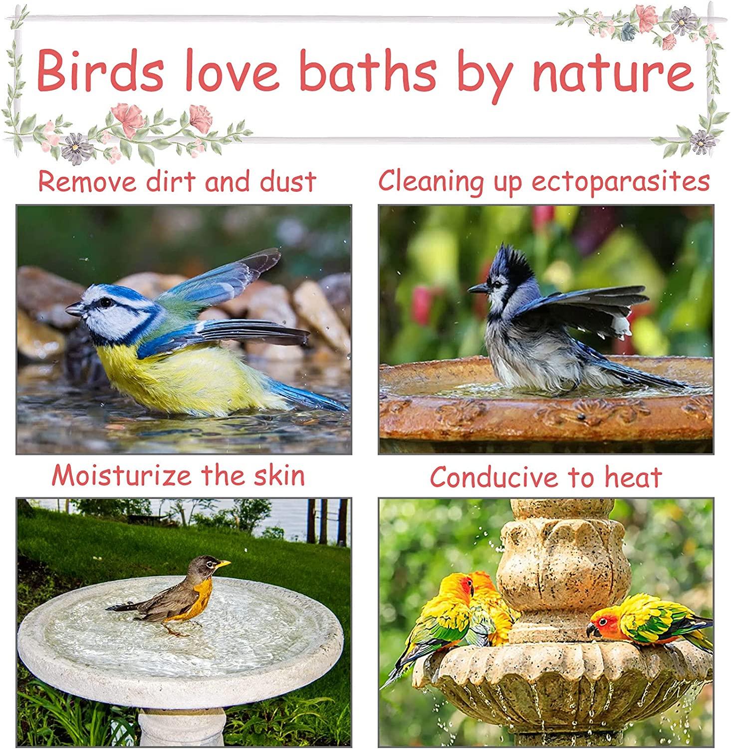 Chim Bồn Tắm Treo Bồn Tắm Lồng Chim Tiếp Liệu Có Móc Vẹt Treo Bồn Tắm Trong Suốt Cho Chim Nhỏ Chim Hoàng Yến Budgies con Vẹt 13X14X13cm