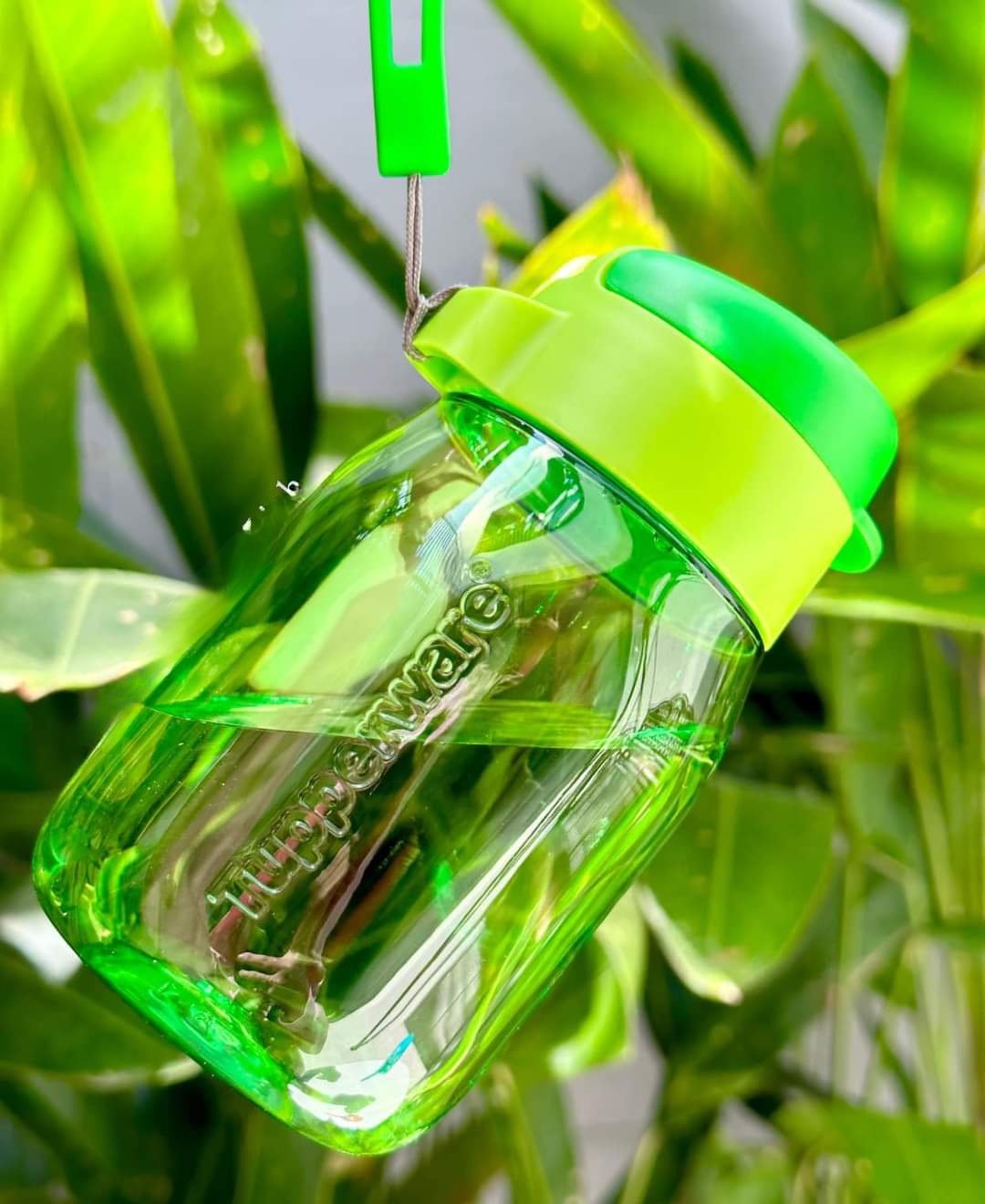 BÌNH NƯỚC MINI LOHAS 350ML