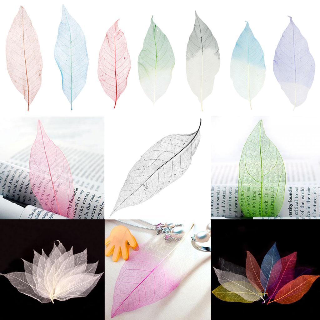 100 Pieces Natural Plant Leaves for Craft Cards Scrapbooking Bookmark DIY