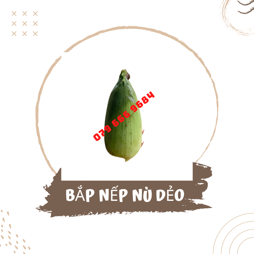 Hạt giống bắp nếp nù dẻo gói 500 gram