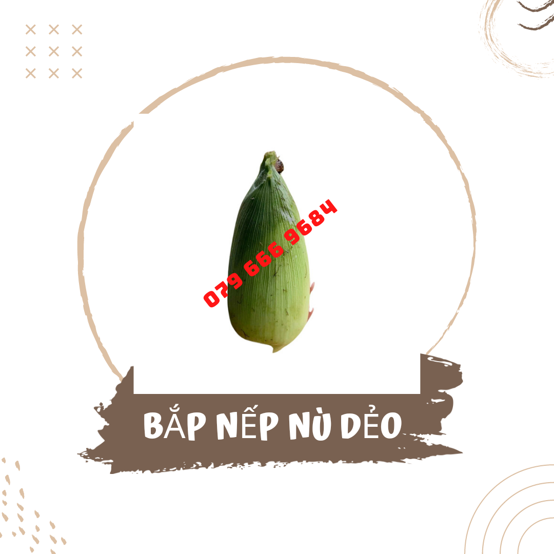 Hạt giống bắp nếp nù dẻo gói 300 gram