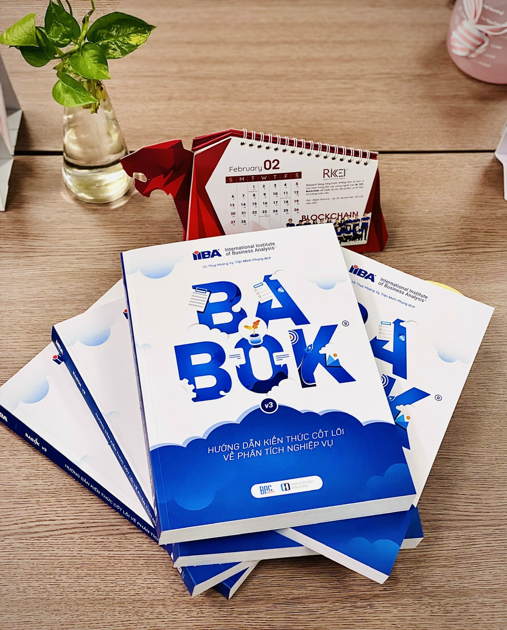 Combo sách dành cho BA: Sách BABOK v3 - phiên bản tiếng Việt & Sổ tay Business Analyst