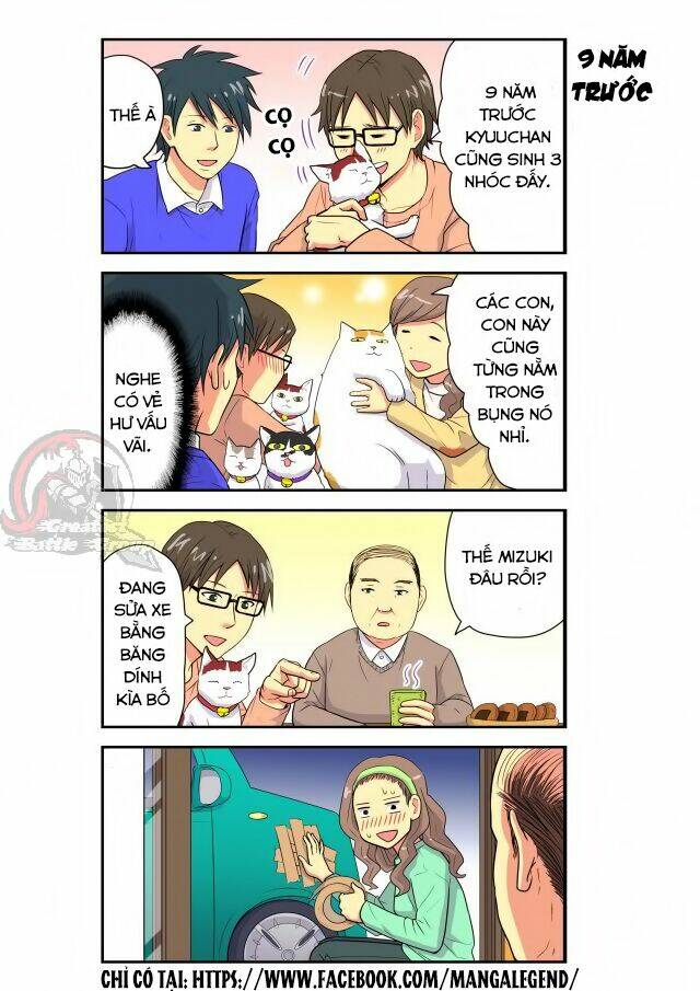 cat is silver vine chapter 12 8