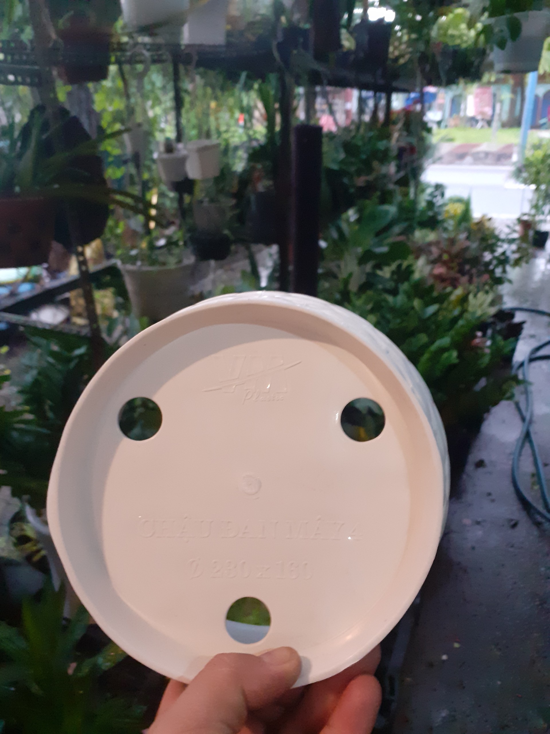 Chậu nhựa kiểu dáng mây tre đan màu trắng quá bát mắt