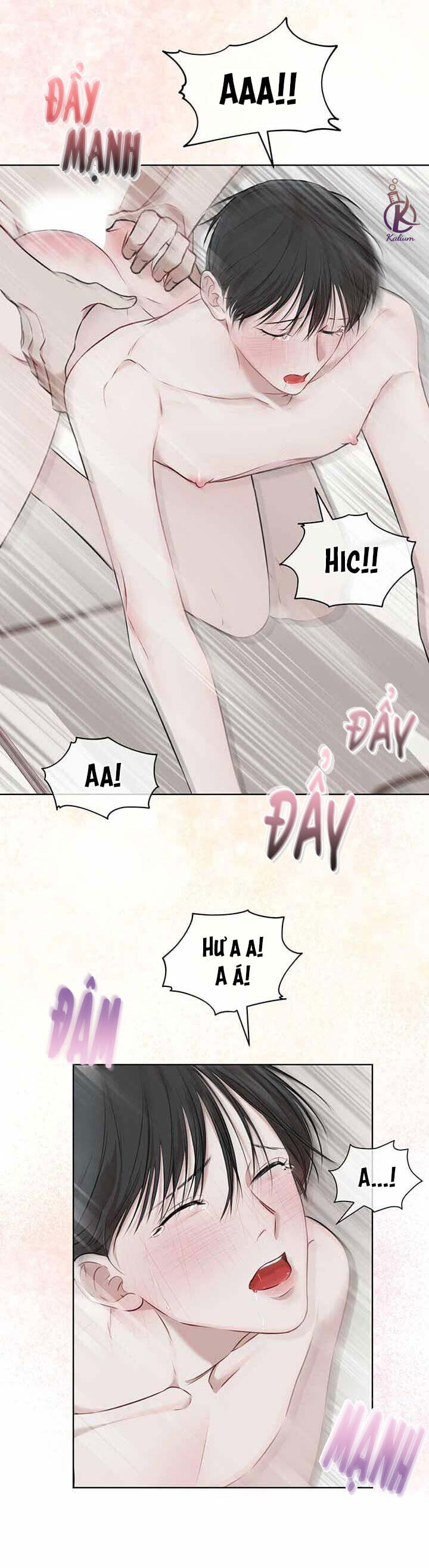 hình thái khởi sinh chapter 23 22