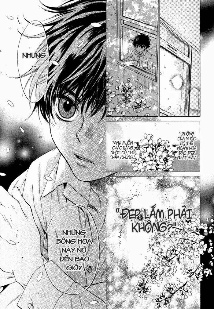 người yêu siêu cấp chapter 5 29