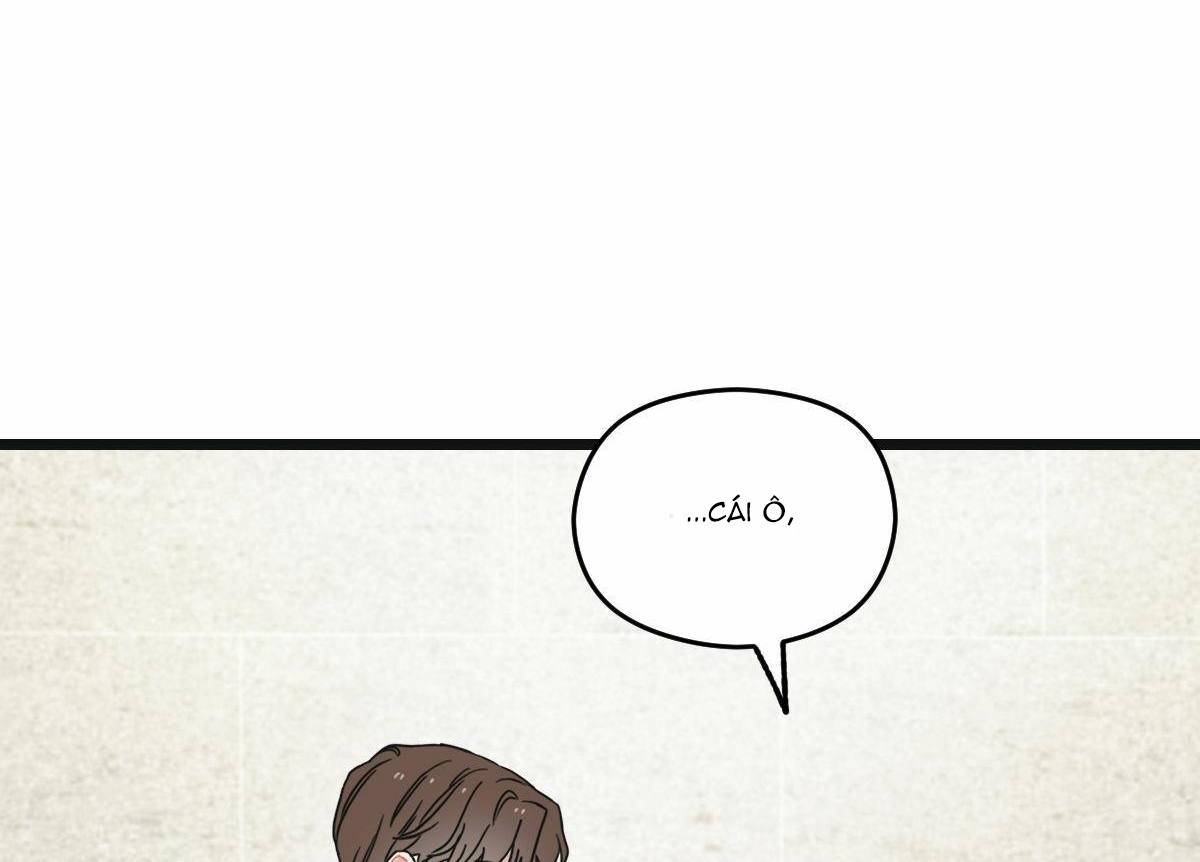 tương phùng chapter 5 171