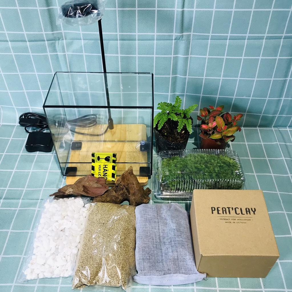 COMBO TỰ SET TERRARIUM-VƯỜN NHIỆT ĐỚI