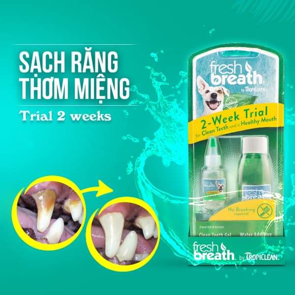 Combo Tropiclean vệ sinh răng miệng chó, giảm mùi hôi, mảng bám (Mỹ)