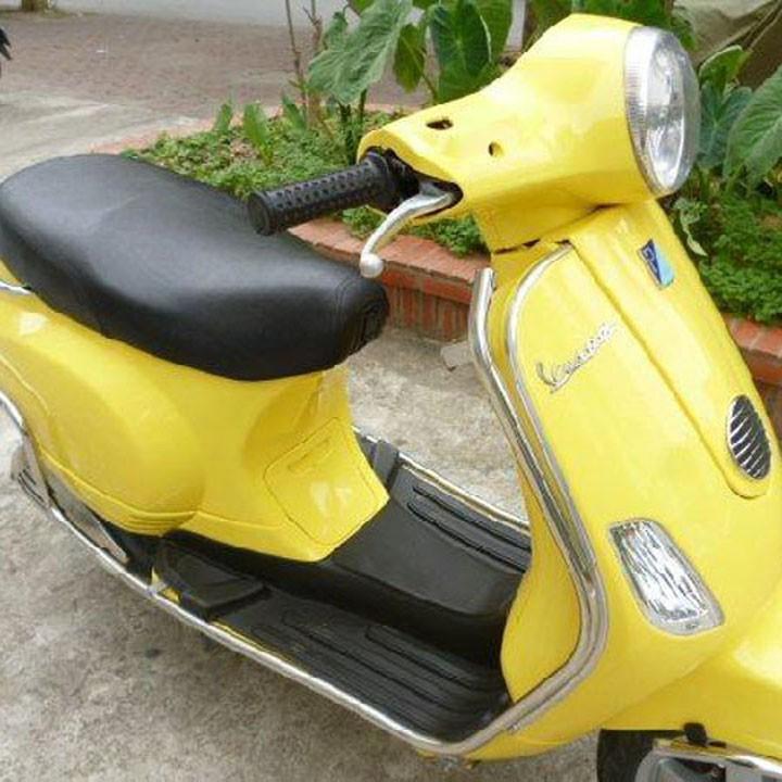 Tay nắm xe dành cho VESPA LX nhập và xe ZIP - A310