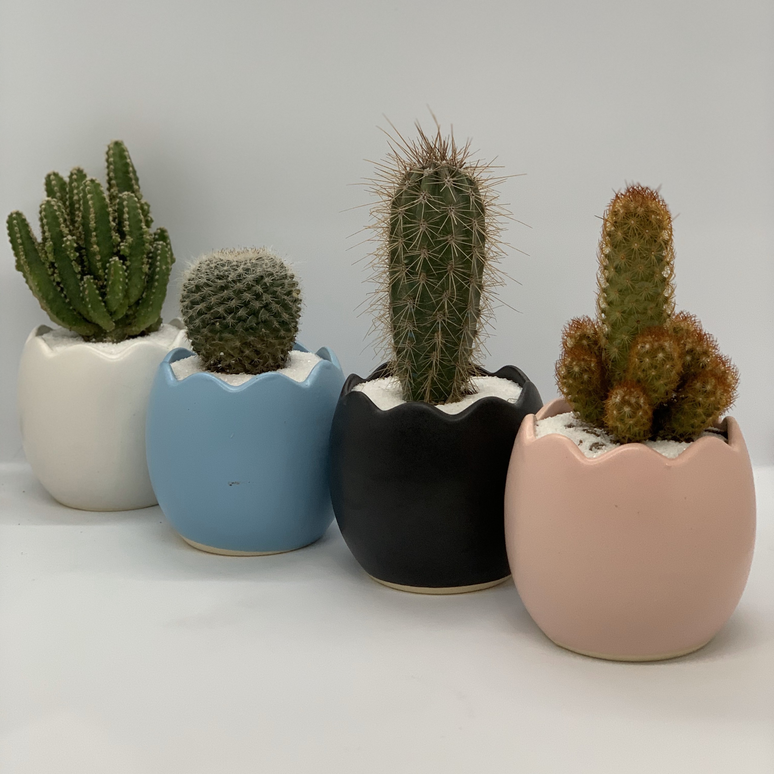 Chậu Sứ - 7x7x8 Cm - Mầu Hồng – Dáng Quả Trứng - Chậu Trồng Cây Mini, Cây Để Bàn, Tiểu Cảnh, Sen Đá & Xương Rồng