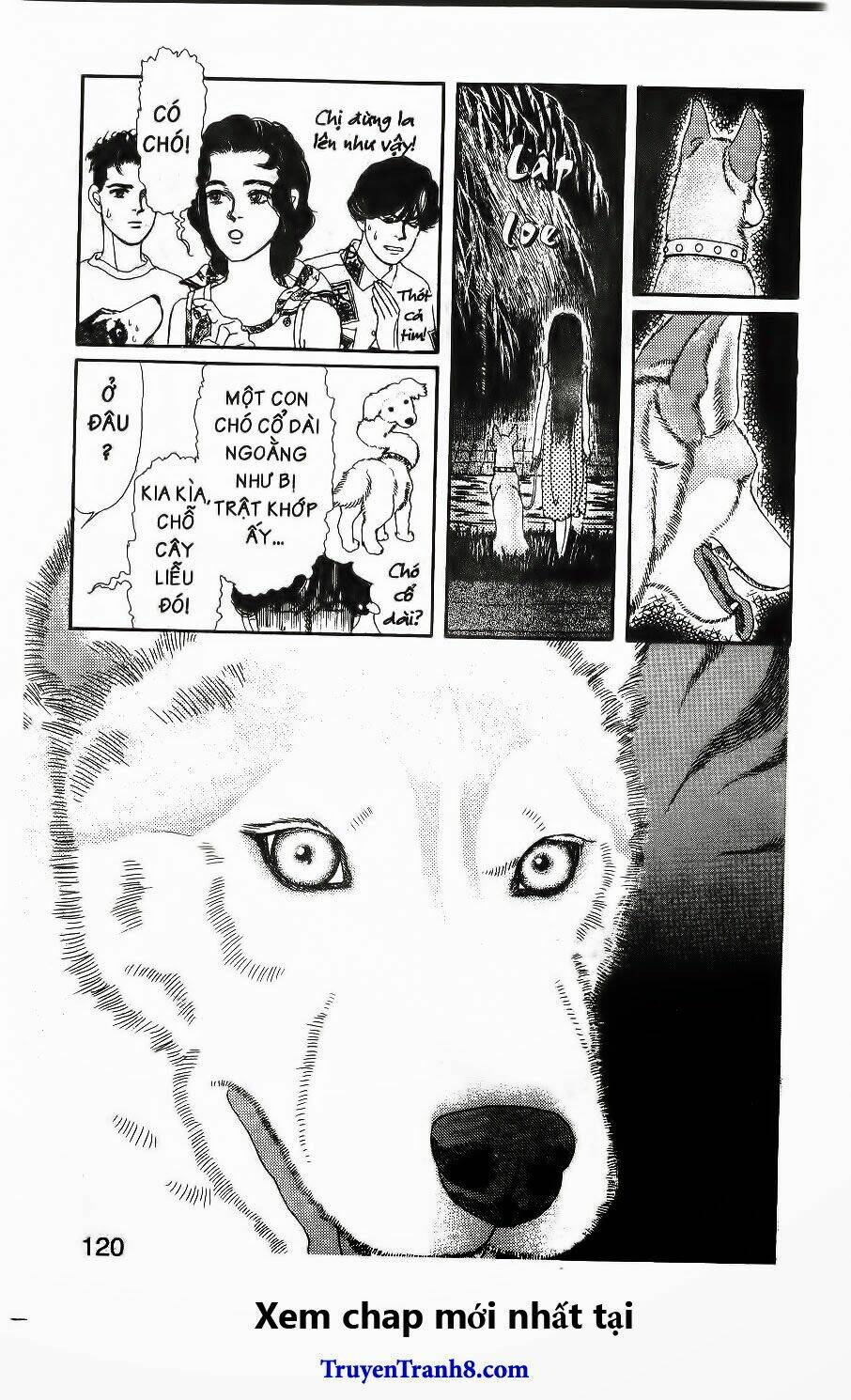 bác sĩ thú y chapter 97 7