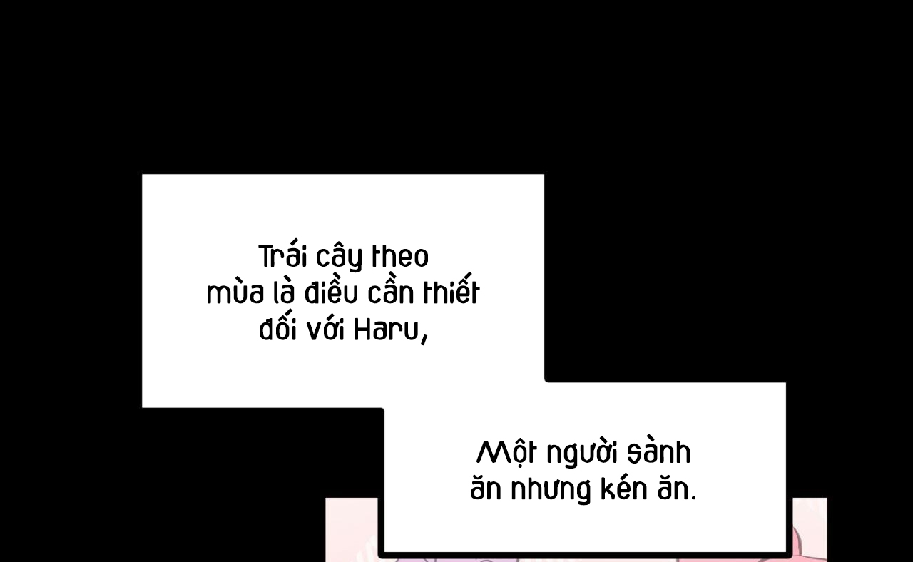 đàn thỏ của habibi chapter 41 202