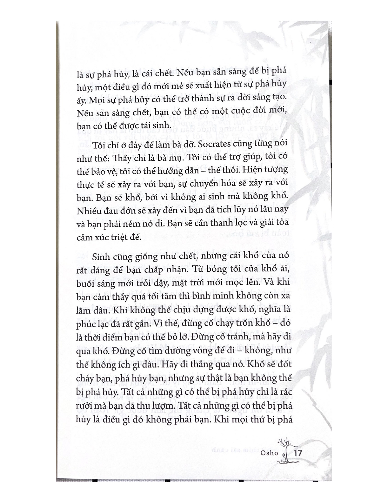 Osho  - Như Chim Sải Cánh  - Vanlangbooks
