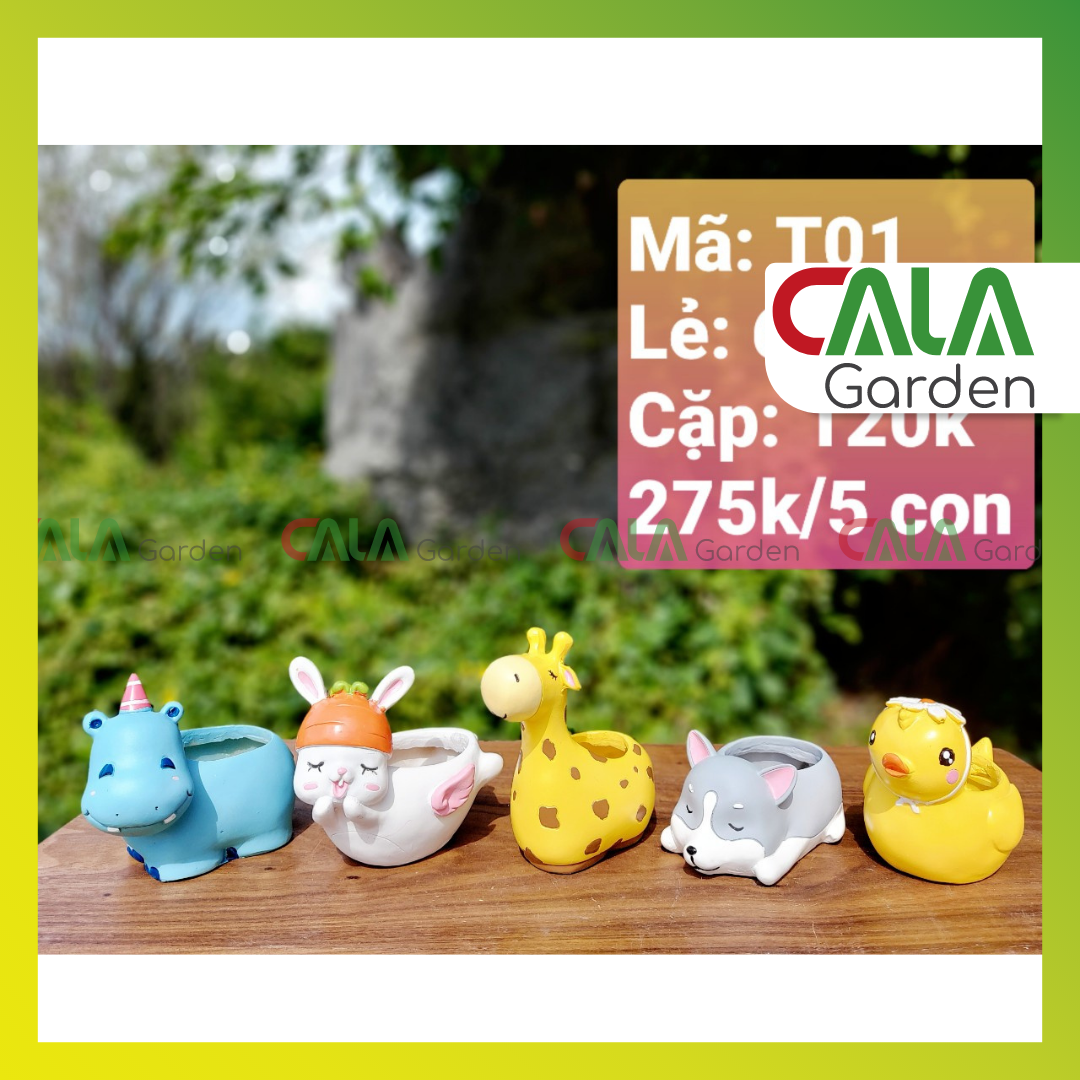 Combo 5 Chậu Tượng Hình Thú  - Trồng Cây Sen Đá, Xương Rồng Trang Trí Bàn Làm Việc, Văn Phòng.