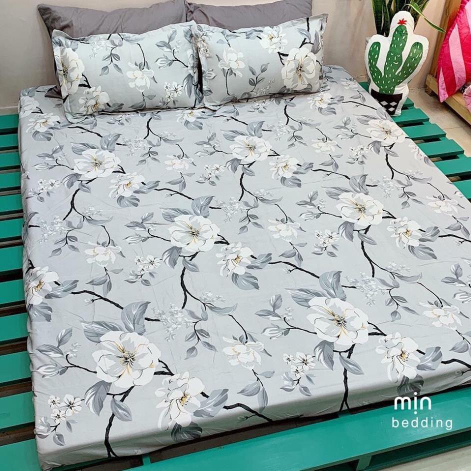 Bộ ga chun và 2 vỏ gối cotton poly - Mẫu hoa ghi siêu đẹp