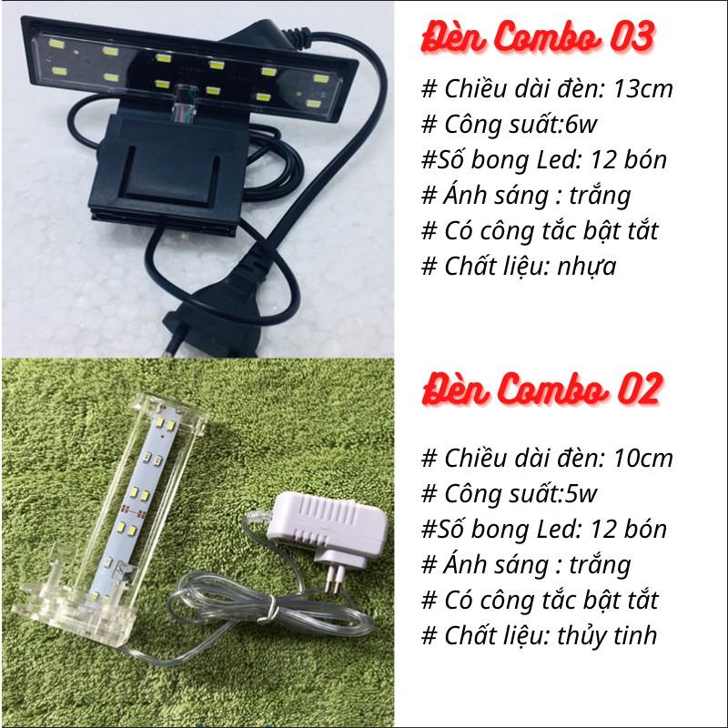 Bể cá mini CUBIC 20cm COMBOTặng 6 món phụ kiện trang trí