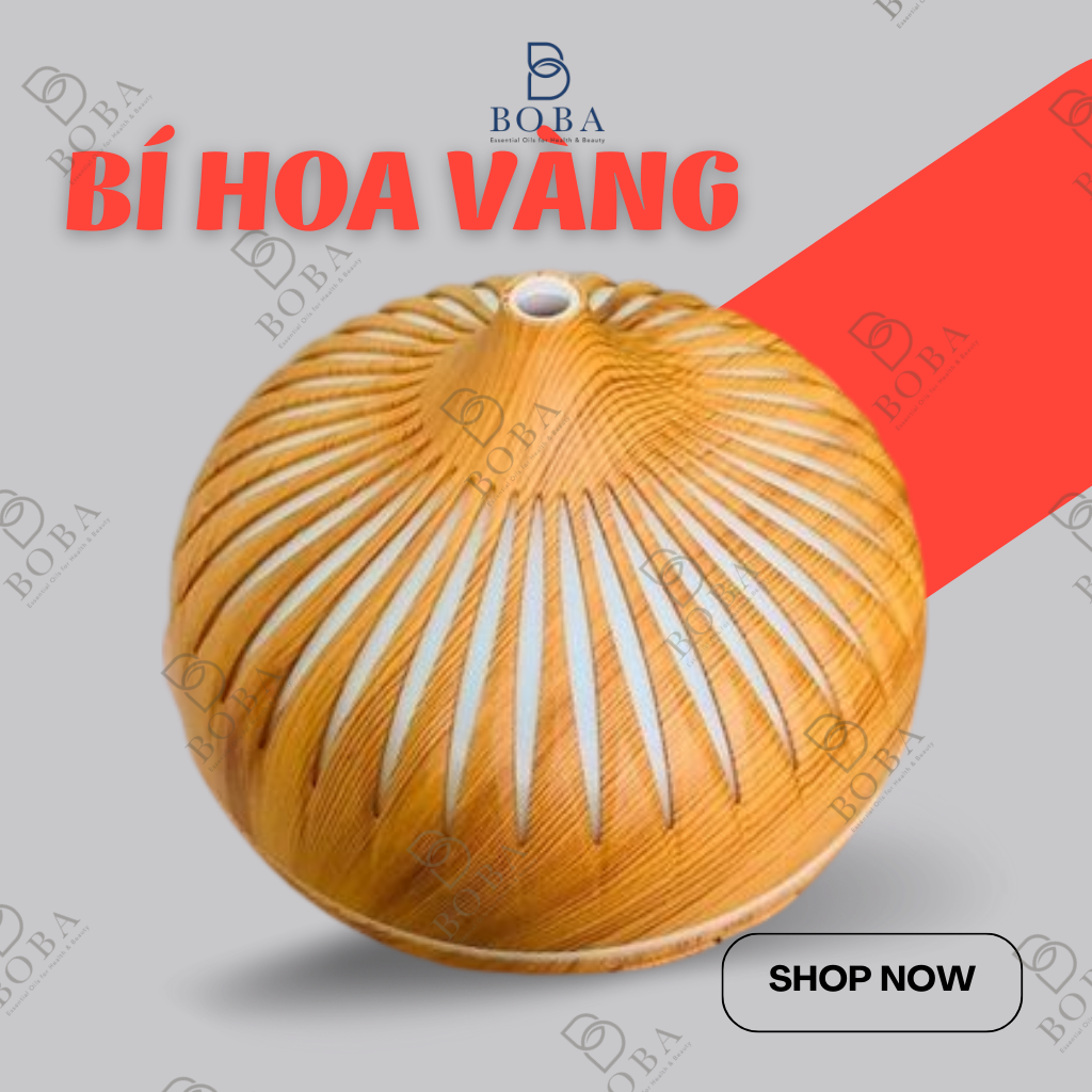 XẢ KHO Máy Khuếch Tán Tinh Dầu Bí Cánh Hoa, Bí Kẻ Xông Hương Thơm, Giảm Căng Thẳng, Thơm Phòng - BOBA NATURALS