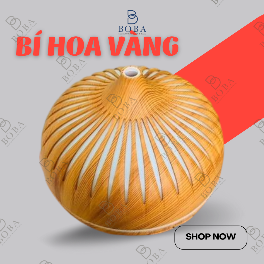 (HCM) XẢ KHO  Máy Khuếch Tán Tinh Dầu Bí Cánh Hoa, Bí Kẻ Xông Hương Thơm, Giảm Căng Thẳng, Thơm Phòng - BOBA NATURALS