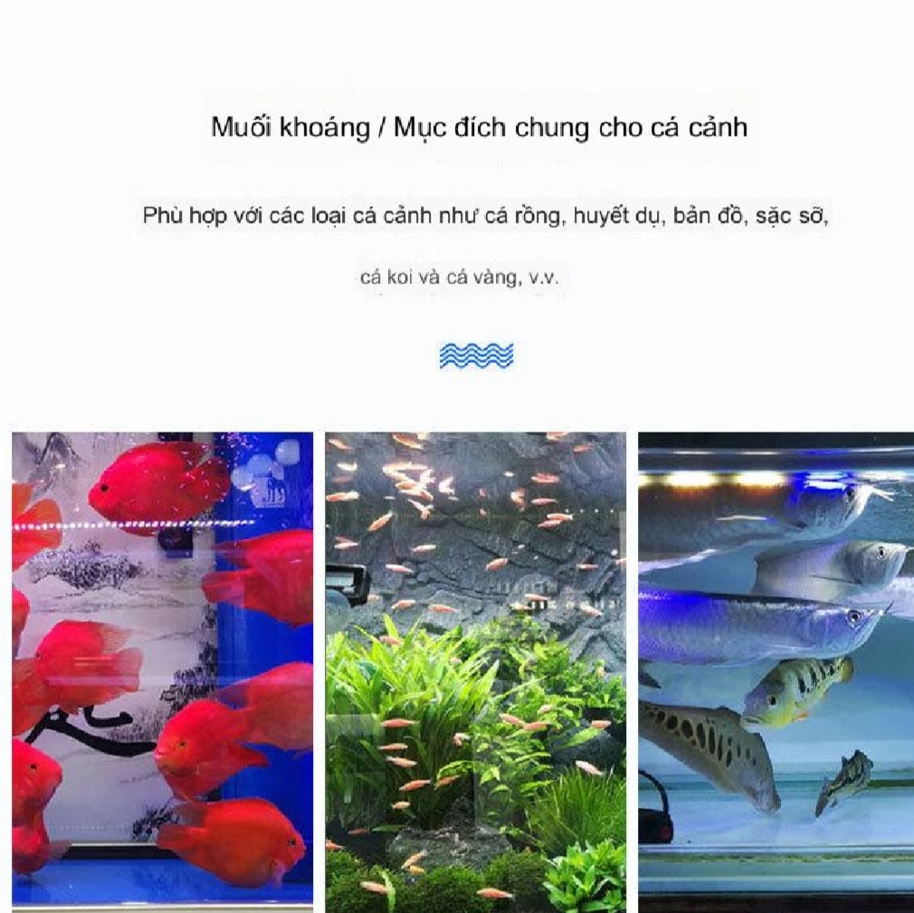 Thuốc trị nấm rất nhậy cho cá cảnh BIO CLEAN 50NL, 100ML