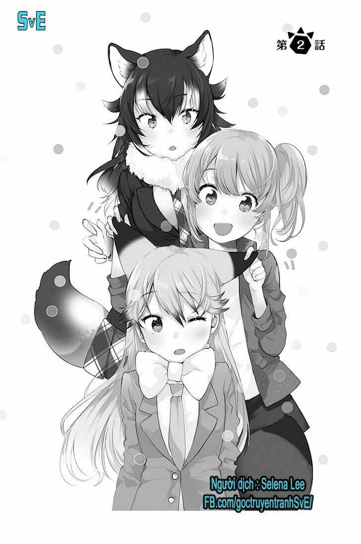 nàng là hồ ly - kemono friends - youkoso javari park e! chapter 2 2
