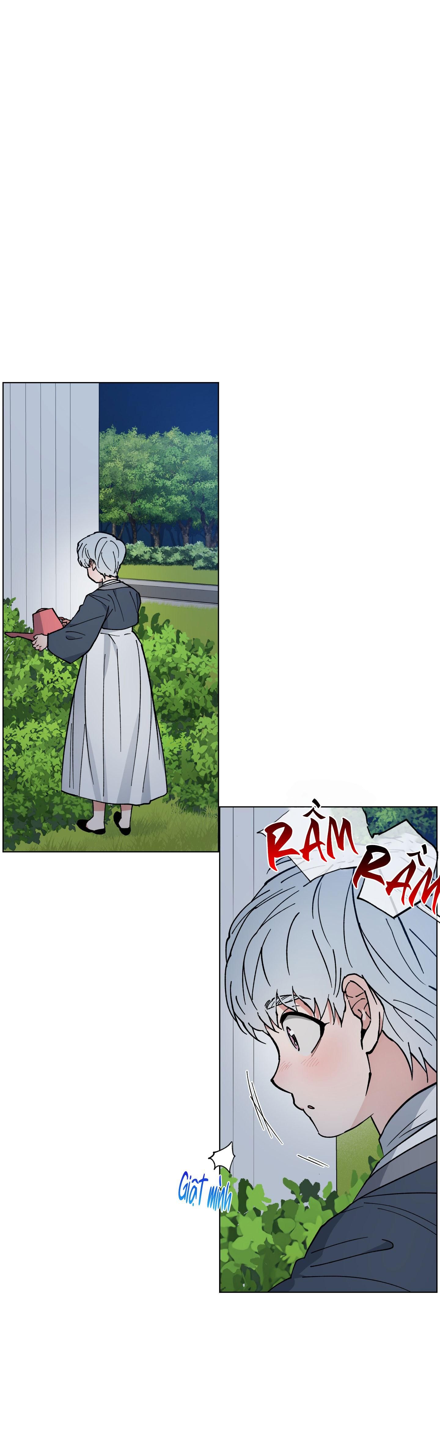 bình minh của rồng chapter 31 5