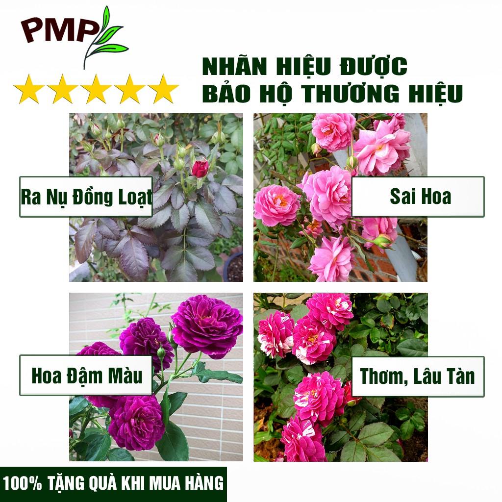 Phân Bón Hoa Hồng SOYMIC PMP Siêu Phân Bón Ủ Vi Sinh Từ Đậu Nành, Trứng, Chuối, Humic, Vi Lượng 1000ml