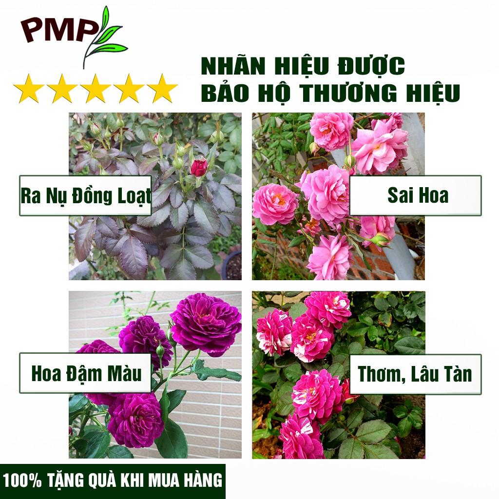 Combo 2 Chai Phân SOYMIC PMP Siêu Phân Bón Ủ Vi Sinh Từ Đậu Nành, Trứng, Chuối, Vi Lượng Cho Hoa Hồng, Rau Sạch