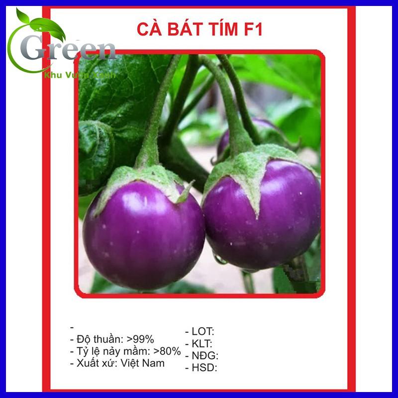 Hạt Giống Cà Tím Trái Tròn - Cà Bát Tím