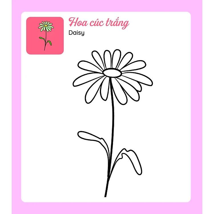 Sách Tớ Tự Tô: Những Bông Hoa Xinh